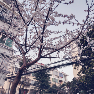 图片区小说区自拍亚洲
